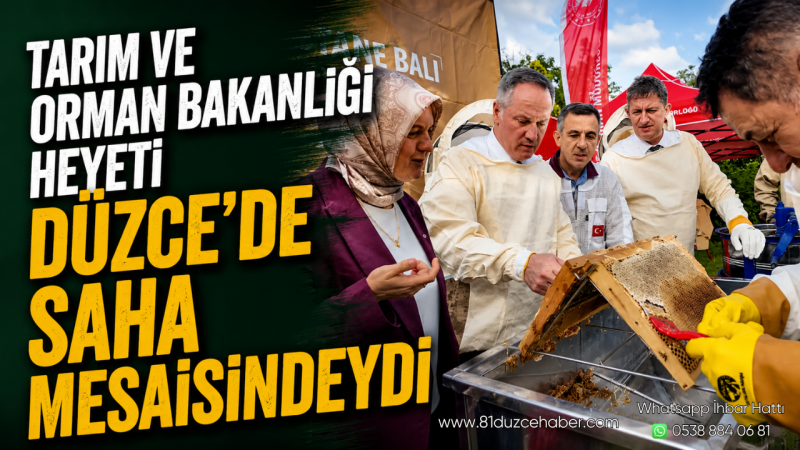 Tarım ve Orman Bakanlığı Heyeti Düzce'de Saha Mesaisindeydi