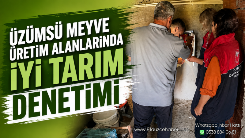 Üzümsü Meyve Üretim Alanlarında İyi Tarım Denetimi