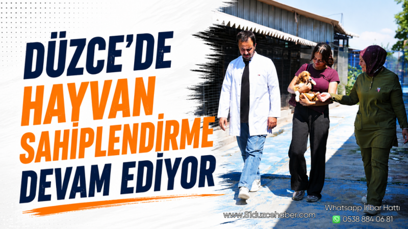 Düzce'de Hayvan Sahiplendirme Devam Ediyor