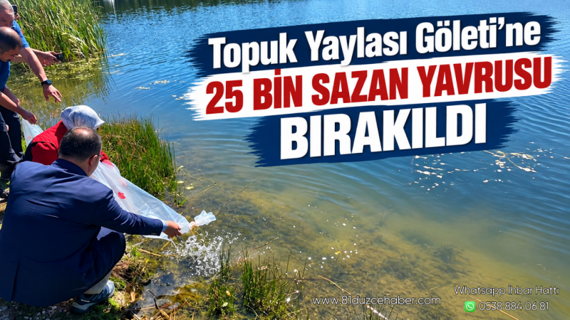 Topuk Yaylası Göleti’ne 25 Bin Sazan Yavrusu Bırakıldı