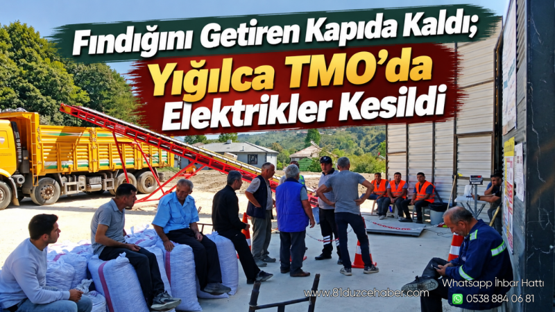 Fındığını Getiren Kapıda Kaldı; Yığılca TMO’da Elektrikler Kesildi