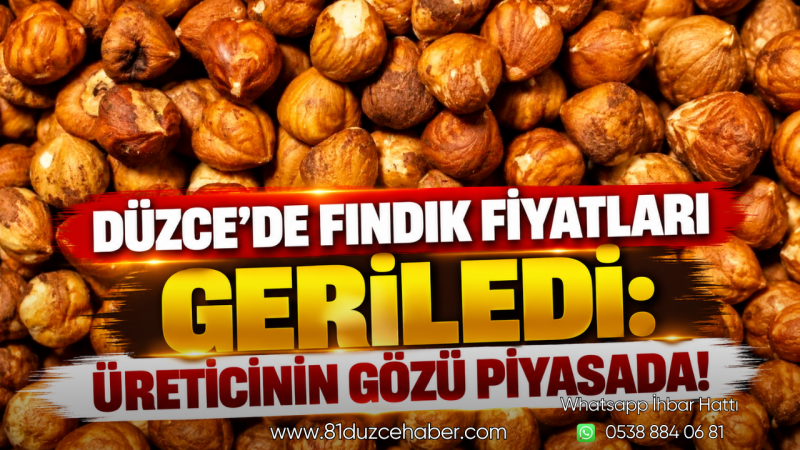Düzce’de Fındık Fiyatları Geriledi: Üreticinin Gözü Piyasada!