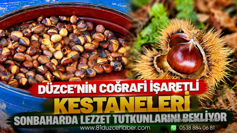 Düzce’nin Coğrafi İşaretli Kestaneleri Sonbaharda Lezzet Tutkunlarını Bekliyor